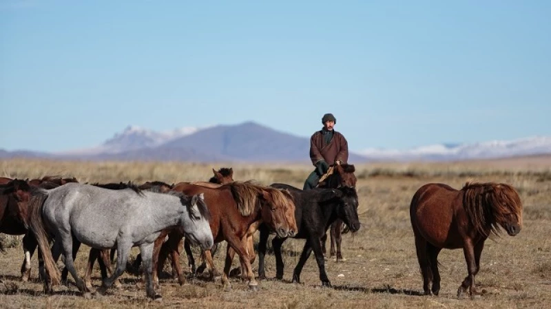 Mongòlia, el país del cel blau