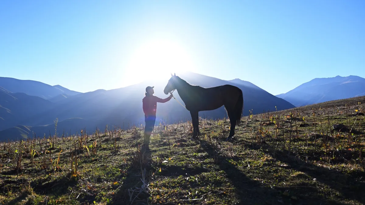 A HORSE IS A HUMAN’S WINGS